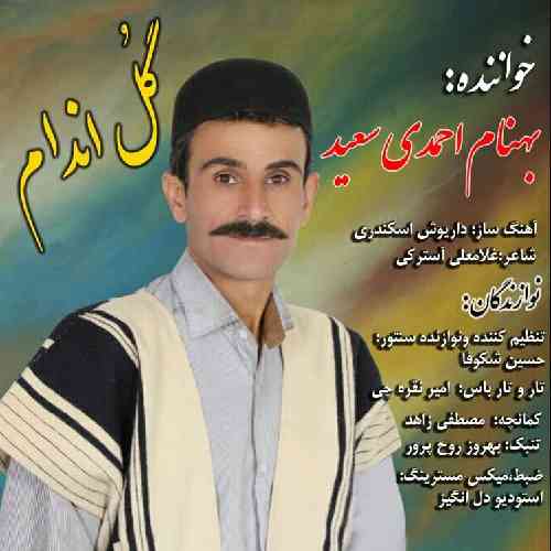 بهنام احمدی گل اندام